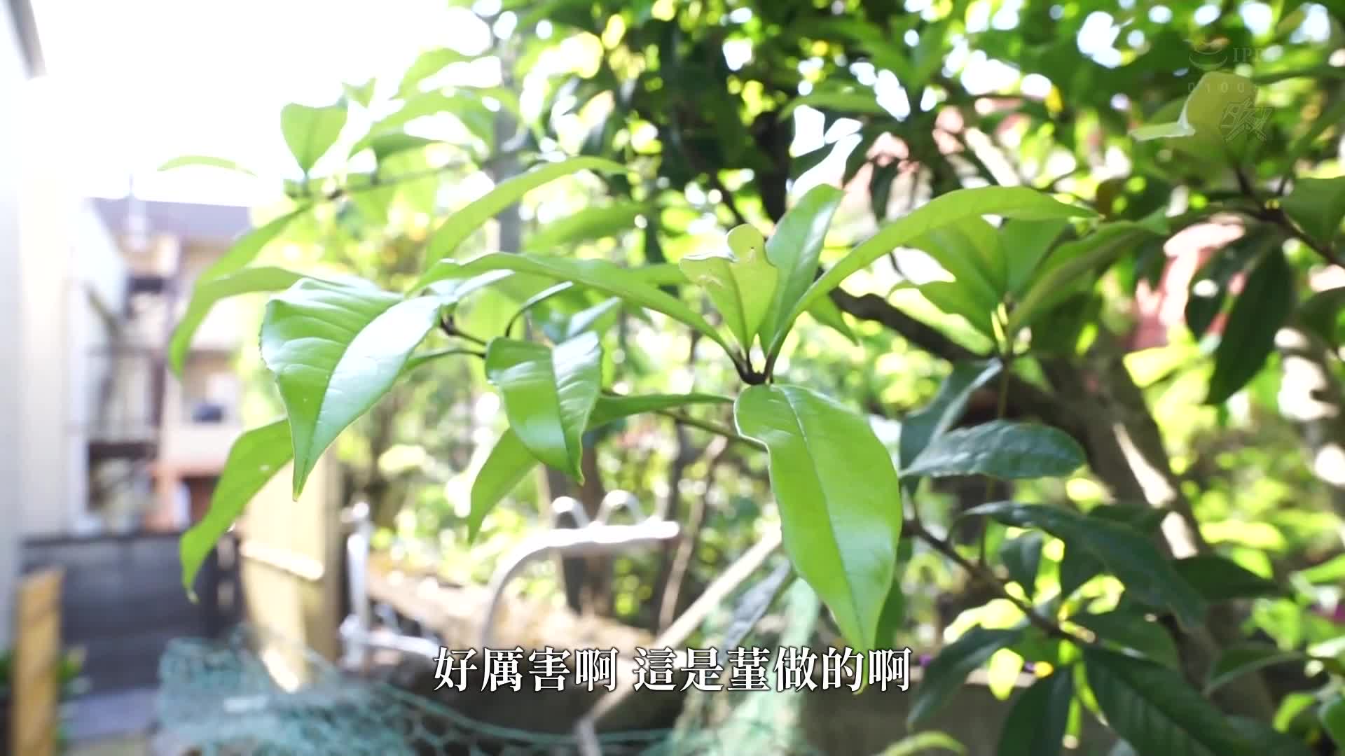 The story of a gorgeous and slender beautiful girl girlfriend who was snatched away and planted by my father. Kuramoto Mi - AV大平台-Chinese Subtitles, Adult Films, AV, China, Online Streaming