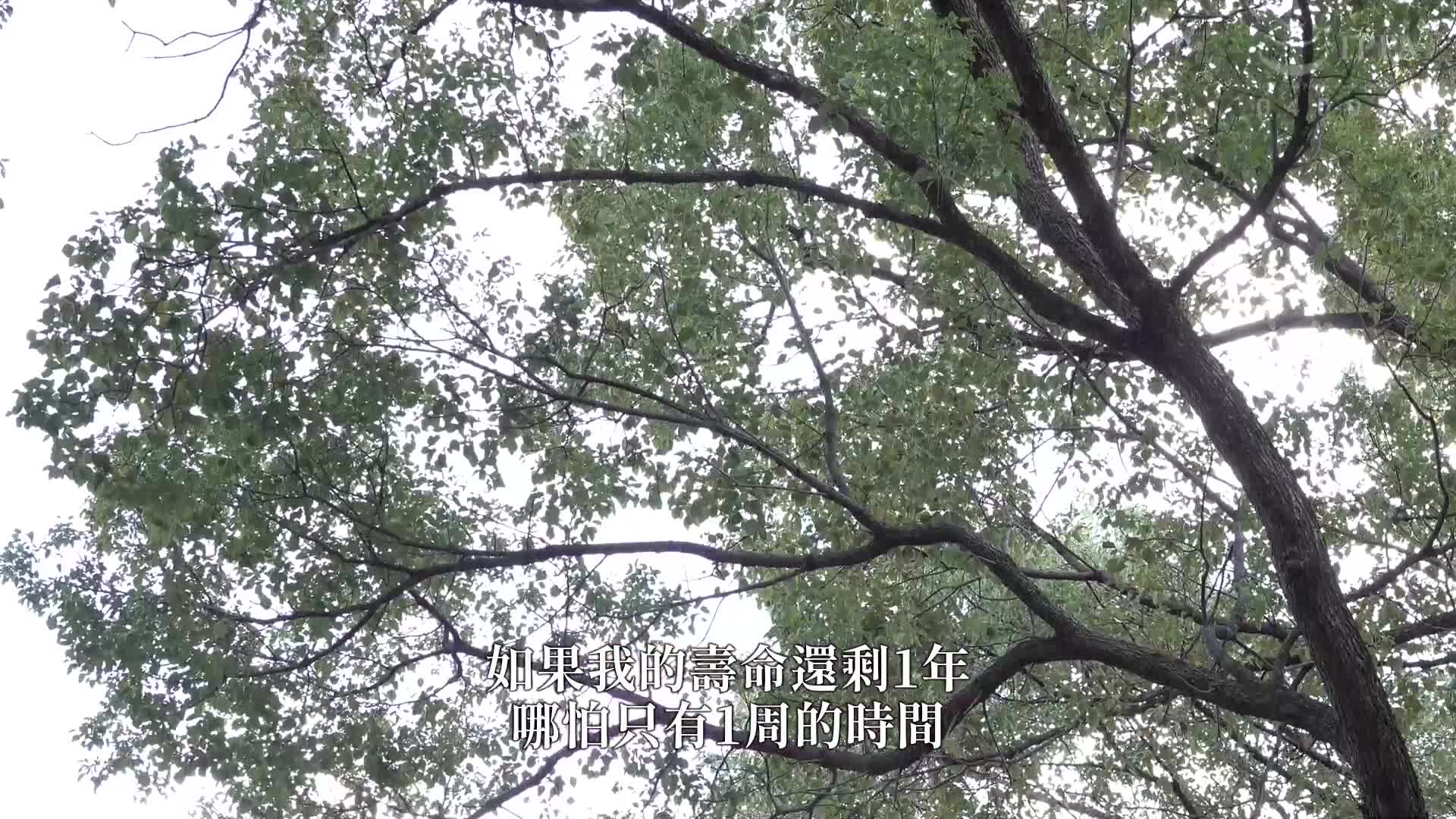 Drowning in the sweetness of elder care: Qi Shan Ai - AV大平台-Chinese Subtitles, Adult Films, AV, China, Online Streaming