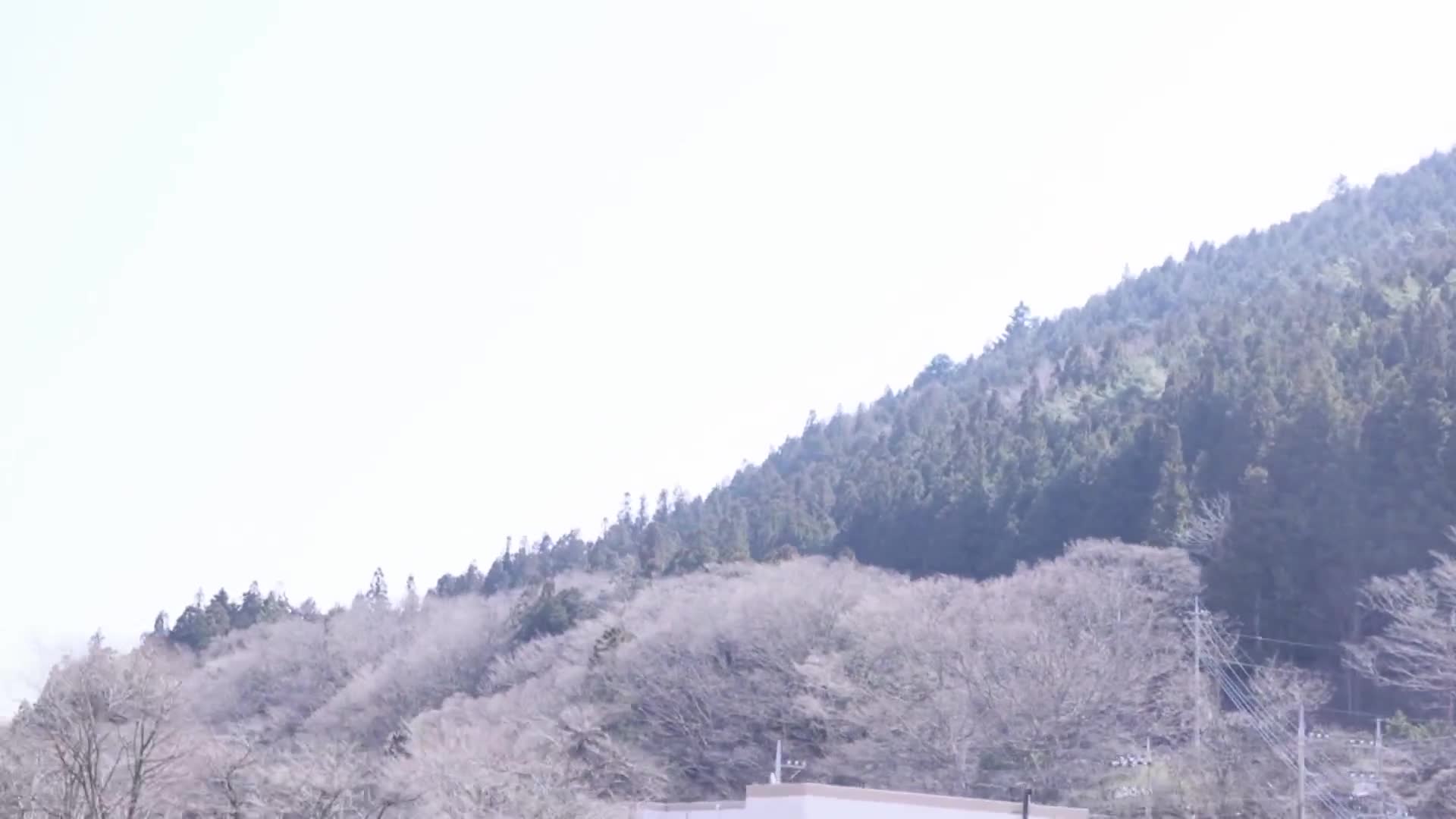 母子交配 兒子的弟弟和哥哥 4小時 - AV大平台-中文字幕,成人影片,AV,国产,线上看